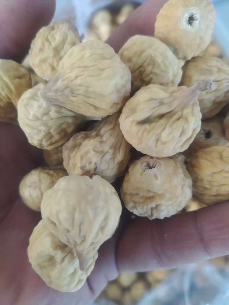 فروش انجیر سفید سه آ + قیمت کف بازار